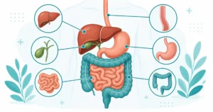 digestive-system-terminology-anatomy-coders